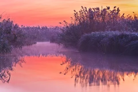 Before sunrise on lake Stock Photos