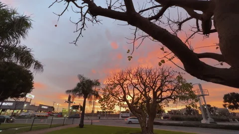 Sunrise Landing At LAX Stock Footage 169975419