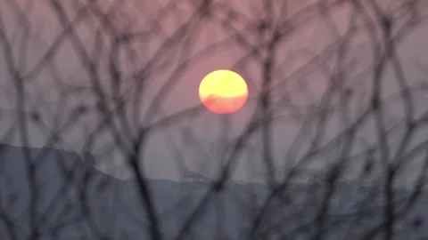 Sunrise with Landscape through trees and plants Stock Footage 302807963