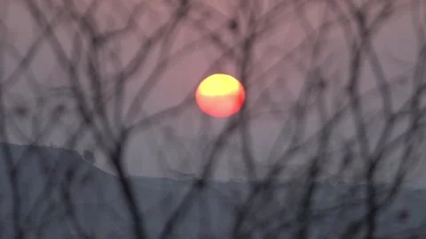 Sunrise with Landscape through trees Stock Footage 302808608