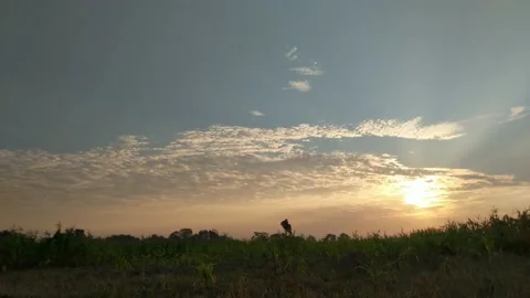 Sunrise light flashing Video stock 205029607