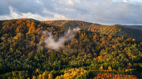 Sunrise Light through Forest at Geiersteine  - 4K Timelapse Stock Footage 332816797