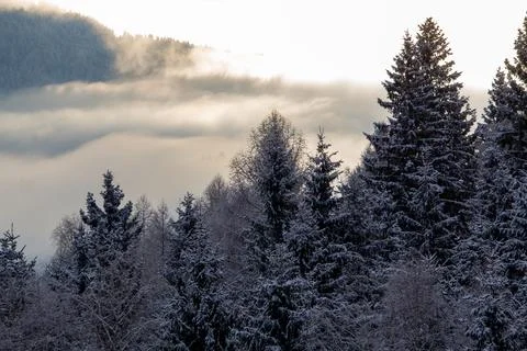 Sunrise makes a breakthrough in the mist between the mountains Stock Photos