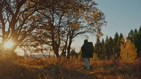 Sunrise, man with camping backpack walking through autumn forest Stock Footage 194370607