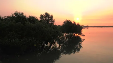 Sunrise in the mangroves Stock Footage 63323913