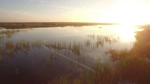 Sunrise on the Marsh Stock Footage 83986749