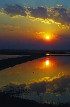 Sunrise in a marsh Stock Photos
