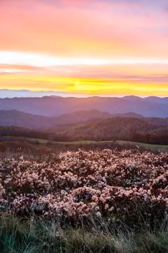 Sunrise at Max Patch in the Blue Ridge Mountains Stock Photos
