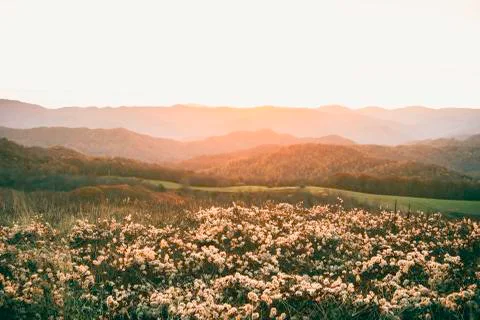 Sunrise at Max Patch in the Blue Ridge Mountains Stock Photos