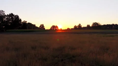 Sunrise meadow with lateral drone flight Stock Footage 340919848