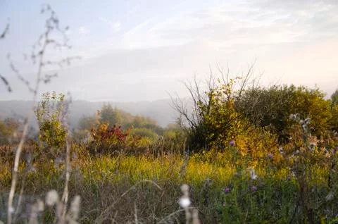 Sunrise on the meadow Stock Photos