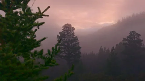 Sunrise Mist Over Forest Valley in Norway — Cinematic Aerial View Stock Footage 320111446