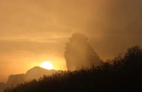 Sunrise in the mist Stock Photos