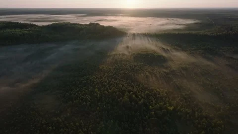 Sunrise in the misty bog Stock Footage 314880069