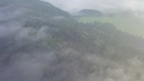 Sunrise in the misty forest. Marvelous view of flying over trees in the morning Stock Footage 139322176