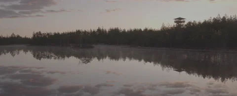 Sunrise in misty Mukri bog in Estonia. Stock Footage