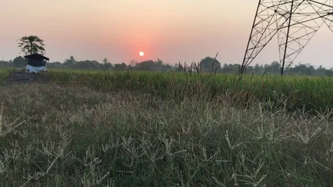 Sunrise in the morning 스톡 동영상 73345859