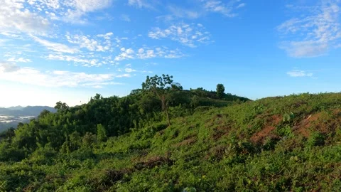 Sunrise in the mountain with cloud covered mountain Video stock 252434657