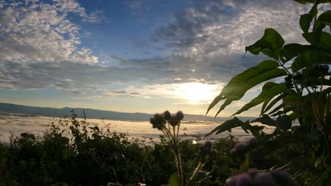 Sunrise in the mountain with cloud covered mountain Stock Footage 252434844