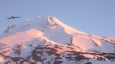 Sunrise Mountain Crows Flying Stock Footage 46409956