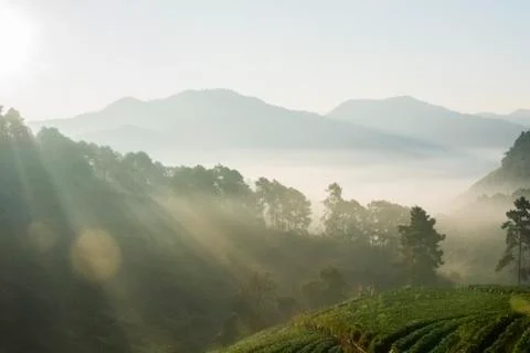 Sunrise mountain view Stock Photos