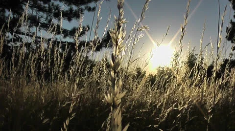 Sunrise in mountains 動画素材 22826385