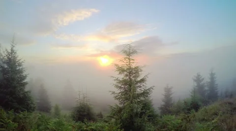 Sunrise in the Mountains. Vidéo 68860679