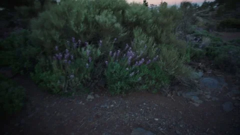 Sunrise in the mountains Stock Footage 75880838