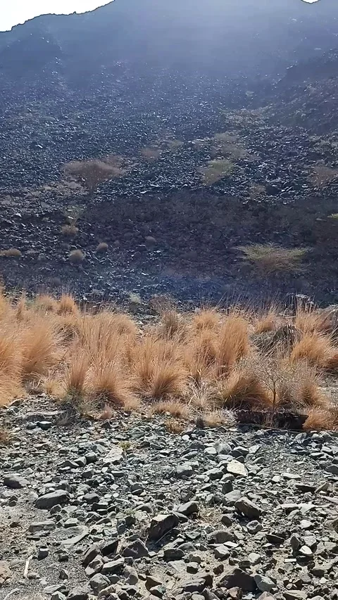 Sunrise in the mountains Stock Footage 161091398