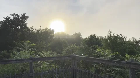 Sunrise in Mountains Stock Footage 321672589