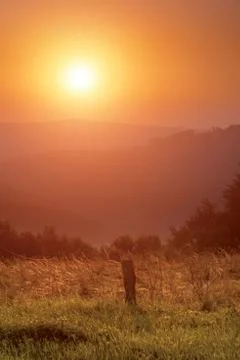 Sunrise in mountains Stock Photos