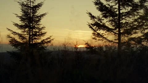 Sunrise in the Mountains Through Trees – Peaceful Morning Nature Scene Stock Footage 310533858