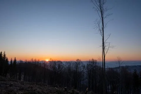 Sunrise in the mountains with trees in the foreground Stock Photos