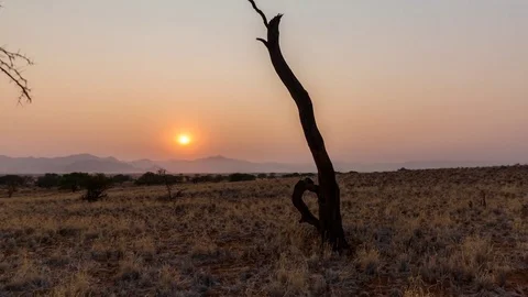 Sunrise in Namib Desert Timelapse Stock Footage