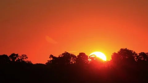 Sunrise in the nature behind trees, real time Stock Footage 215704974