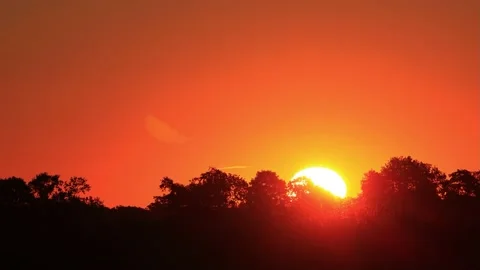 Sunrise in the nature behind trees, real time Stock Footage 215757390
