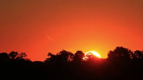 Sunrise in the nature behind trees, real time Stock Footage 218648414