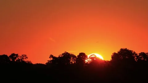 Sunrise in the nature behind trees, real time Stock Footage 218769400