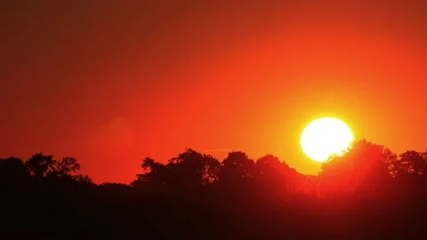 Sunrise in the nature behind trees, timelapse Stock Footage 215784455
