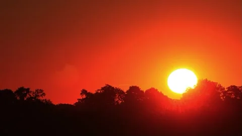 Sunrise in the nature behind trees, timelapse Stock Footage 241891906