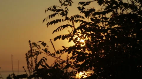 Sunrise on the nature Stock Footage 65079318