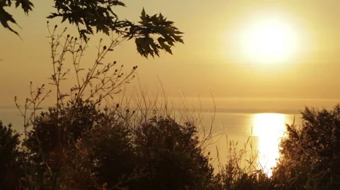 Sunrise on the nature Stock Footage 65079878