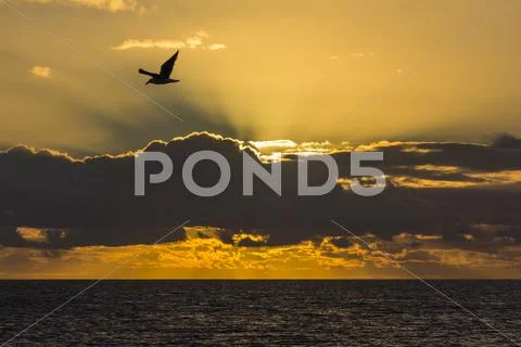 Sunrise near Punta Colorado, San Jose Island, Baja California Sur, Mexico, North Stock Photos