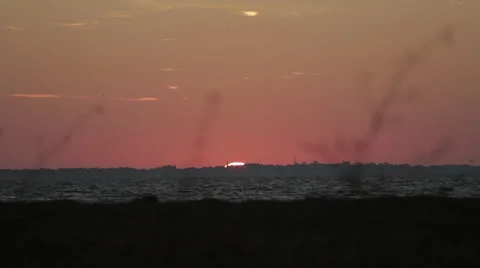 Sunrise from ocean with plants in wind Stock Footage 43992311