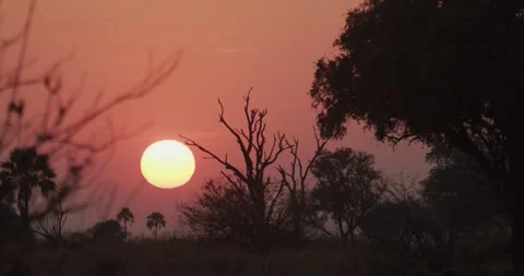 Sunrise in the Okavango Delta Stock Footage 304123785