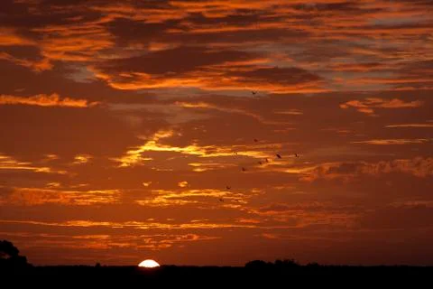 Sunrise or Sunset 022 Stock Photos