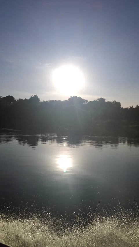 Sunrise or sunset over Cuiabá River in Pantanal with calm water and forest Stock Footage 310208557