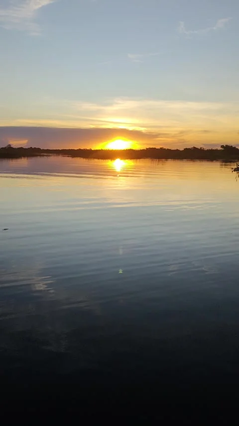Sunrise or sunset over Cuiabá River with golden light and lush vegetation Stock Footage 310208577