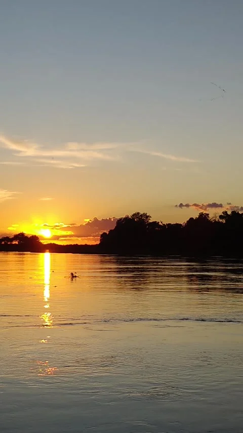 Sunrise or sunset over Cuiabá River with golden light and lush vegetation Stock Footage 310208638