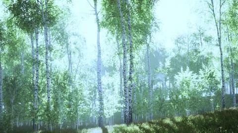 Sunrise or sunset in a spring birch forest with rays of sun shining Stock Illustration